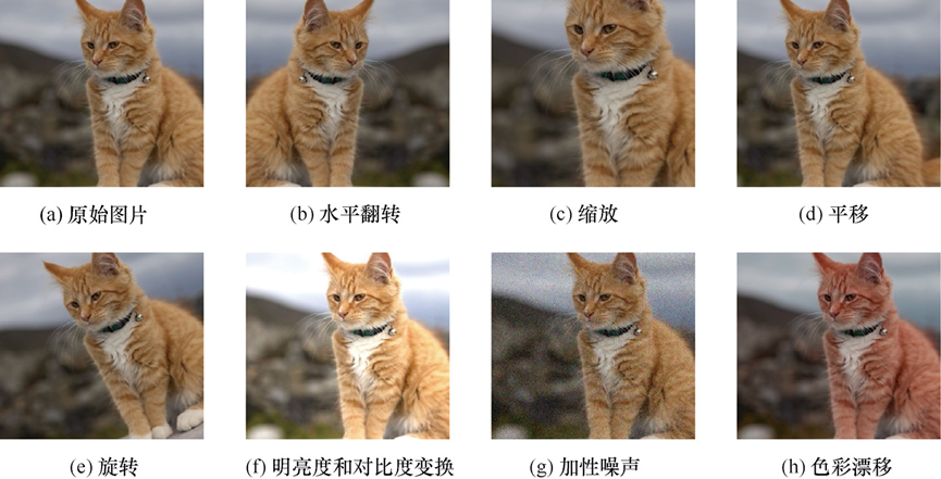 数据增强示例