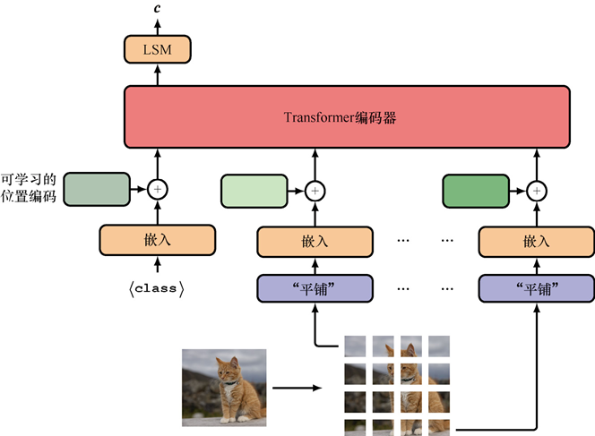视觉Transformer