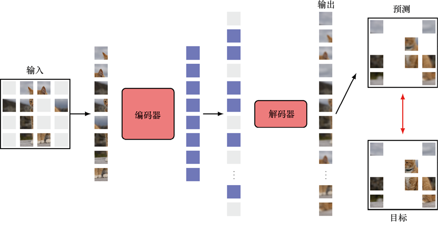 掩蔽自编码器在训练阶段的架构